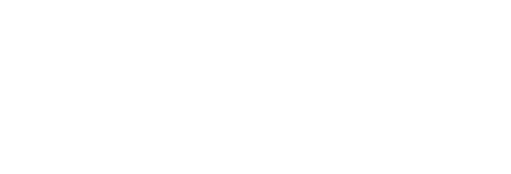 DPM Logo